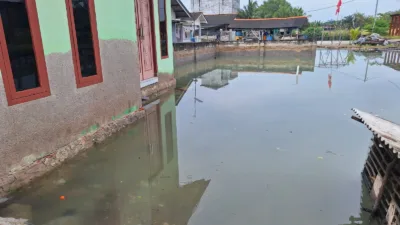 Momen Tahunan, Kampung Natak Nelayan Sungailiat Terendam Banjir Rob Setinggi Lutut Orang Dewasa