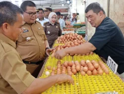 Jelang Nataru, Pj Bupati Bangka Cek Langsung Ketersediaan Bahan Pokok di Pasar Kite Sungailiat