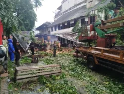 Hujan Deras dan Angin Kencang, Dua Pengendara Motor di Pangkalpinang Tewas Tertimpa Pohon Tumbang