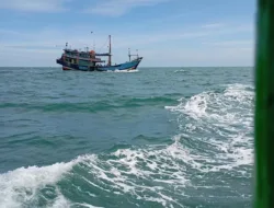 Kapal Cantrang Beroperasi di Laut Basel, Nelayan Desak APH Lakukan Gakkum