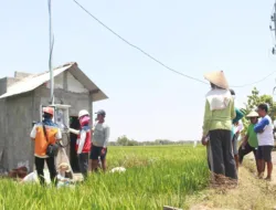 Dukung Tranformasi Pertanian Modern, Electrifying Agriculture PLN Raih 53.539 Pelanggan Baru di Tahun 2024