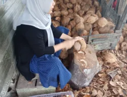 Dari Pakaian ke Peras Kelapa, Kisah Transformasi Usaha Nuriah bersama PT Timah