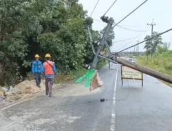 Marak Tambang Ilegel, Tiang Listrik Tumbang Sebabkan Empat Desa di Parittiga Mati Lampu