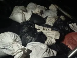 Kedapatan Selundupkan Pasir Timah dari IUP PT Timah, Anang dan Dagol Jadi Tersangka 