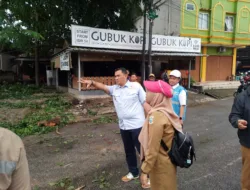 Pj Wali Kota Pantau Langsung Penebangan Pohon di Theresia, Budi : Batangnya akan Kita Kelola