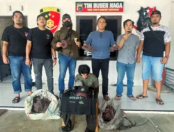 Beraksi di Sekolah-sekolah di Pangkalpinang, Pelaku Pencurian Kabel Listrik di 8 TKP Disergap Tim Buser Naga 