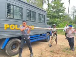 Sempat Serang Warga, Buaya Dua Meter Ditangkap di Perairan Tembelok  Mentok