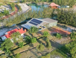 Langkah PT Timah dalam Mengakselarasi Dekarbonisasi untuk Masa Depan Berkelanjutan