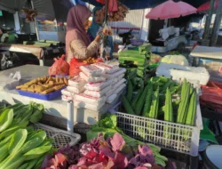 Januari 2025 Babel Deflasi 0,85 Persen, Tarif Listrik Berikan Andil Terbesar