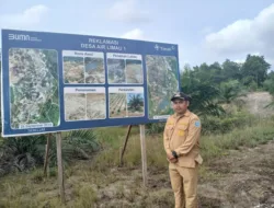 Dorong Kemandirian Ekonomi Desa, PT Timah Gandeng Pemdes Air Limau Sulap Lahan Bekas Tambang Jadi Kawasan Perkebunan