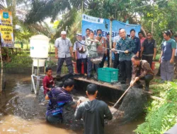 BI Babel Bersama Pokdakan Pinang Raya Panen 3,4 Ton Ikan Nila dan Patin