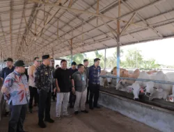 Jelang Puasa dan Lebaran, Stok Daging di Babel Aman