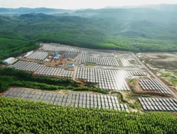 Gebrakan 100 Hari,Prabowo Resmikan 37 Proyek Ketenagalistrikan Nasional