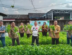 Rutan Mentok Panen Kangkung Kebun Ketahanan Pangan, Hasilnya Dibagikan ke Masyarakat 