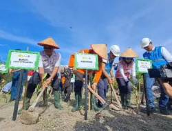 Jaga Kelestarian Lingkungan, Basarnas Babel Tanam 1000 Mangrove di Pantai Batu Ampar
