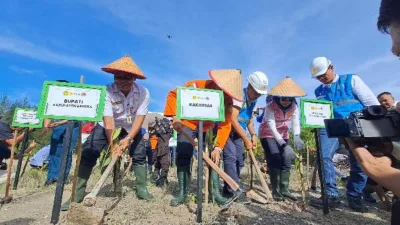 Jaga Kelestarian Lingkungan, Basarnas Babel Tanam 1000 Mangrove di Pantai Batu Ampar