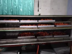 Keripik Singkong Oven Disti, dari Warung Kecil hingga Menembus Retail Modern Berkat Dukungan PT Timah
