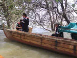 Tingkatkan Hasil Tangkapan Nelayan dan Jaga Ekosistem Pesisir, PT Timah Lepaskan Ribuan Bibit Kepiting Bakau di Perairan Kundur dan Karimun