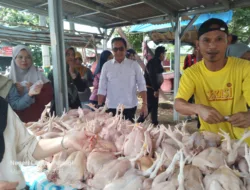Bantu Masyarakat dan UMKM, Bang Roy Bagikan 1.400 Kupon Tebus Murah Ayam Potong