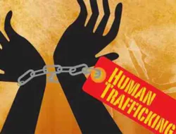 Pulangkan Korban, DPRD Pangkalpinang Desak Pemerintah Saling Berkoordinasi ke Gugus Tugas TPPO