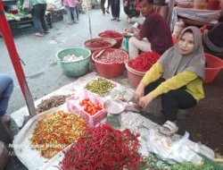 Harga Cabai di Pangkalpinang Mulai Melonjak, Cabai Merah Besar Dibanderol Rp80 Perkilo
