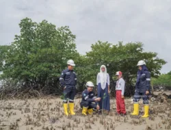 Wujudkan Aksi Nyata, PT Timah Tanam Ratusan Ribu Mangrove Dukung Target Net Zero Emission
