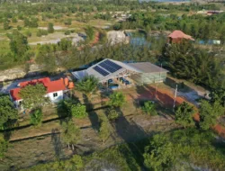 PT Timah Sinergikan Rehabilitasi Lingkungan dan Energi Hijau Lewat PLTS di Lahan Bekas Tambang