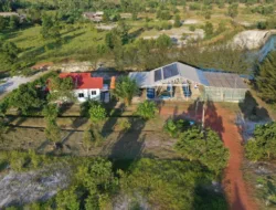 Mendorong Masa Depan Hijau, Inisiatif PT Timah Mengurangi Konsumsi Energi untuk Capai Net Zero Emission