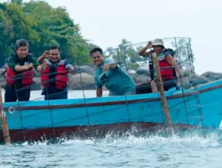 Tenggelamkan Ratusan Coral Garden,  Komitmen PT Timah Jaga Ekosistem Laut dan Dukung Wisata Bahari
