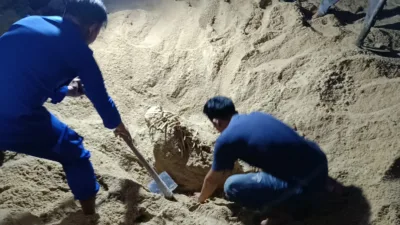 Sempat Bikin Heboh, Kerangka yang Ditemukan di Pantai Batu Rakit Ternyata Tulang Hewan Ini