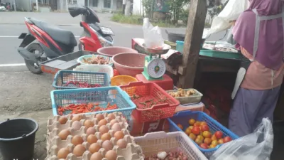Emak-emak Keluhkan Kondisi Harga Kebutuhan Dapur Masih Mahal Pasca Lebaran, Kini Pilih Tempe dari Ikan