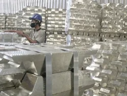 Royalti Timah Naik, Provinsi Bangka Belitung Bakal Terima Rp 100-300 Miliar  Naik dari Hanya Kisaran Rp 61 Miliar Setiap Tahun