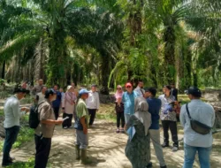 Petani Kelurahan Kelapa Menang Gugatan, PTUN Cabut Surat Aset Pemda Babar Seluas 113 Hektar