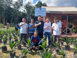 Petani Sawit di Kemuja Butuh Edukasi Soal Bibit Unggul