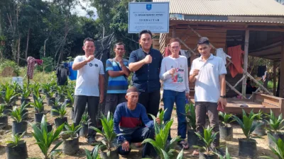Petani Sawit di Kemuja Butuh Edukasi Soal Bibit Unggul