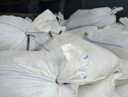 Lagi Dugaan Penyelundupan, Polda Babel Dikabarkan Amankan 20 Ton Timah di Bangka Barat 