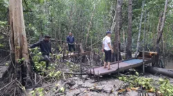 Personel Polsek Lepar Pongok saat menertibkan kegiatan penambangan timah di Hutan Mangrove Desa Kumbung