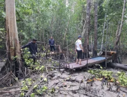 Polsek Lepar Amankan 2 Unit Mesin TI Tungau di Hutan Mangrove Desa Kumbung