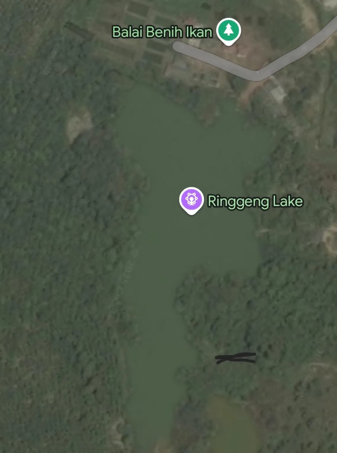 Tangkapan layar dari foto satelit di Kolong Ringeng berdekatan dengan BBI Toboali.