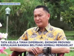 Sukses Perjuangkan Kenaikan Royalti Timah, Bambang Patijaya: Pembagian untuk Daerah akan Lebih Tinggi