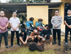 Lagi Asyik Nyabu, Pencuri Sawit Diringkus Polsek Mendo Barat