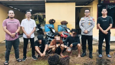 Lagi Asyik Nyabu, Pencuri Sawit Diringkus Polsek Mendo Barat