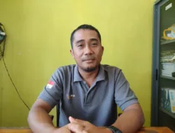 Peternak di Basel Terpaksa Jual Ternak dan Beralih Berkebun Sawit