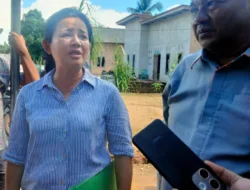 Marak Tambang Timah Ilegal di IUP PT Timah, Rina Tarol Desak  Gebrakan Dirut dari TNI