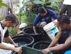 Ini Upaya Pemkab Basel Dukung Budidaya Ikan Air Tawar