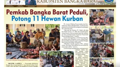 Pemkab Bangka Barat Peduli, Potong 11 Hewan Kurban