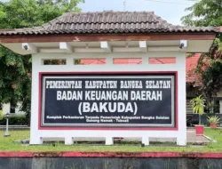 Pemkab Basel Targetkan PAD Tahun 2025 Rp100 Miliar, Naik Dibandingkan Tahun Lalu 