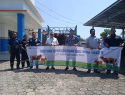 Iduladha Penuh Makna, PT Timah Bagikan Hewan Kurban untuk Masyarakat Bangka Barat