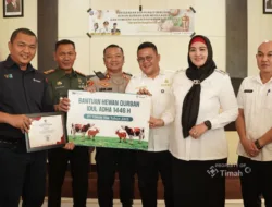 PT Timah Salurkan 30 Ekor Hewan Kurban di Bangka Selatan 