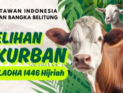 PWI Babel Sembelih Sapi dan Kambing Kurban, Berbagi Berkah dan Jalin Kebersamaan 